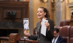 Ester Muñoz en el Pleno del Congreso