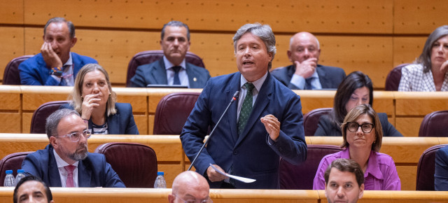 Luís Santamaría, en la Sesión de Control en el Senado