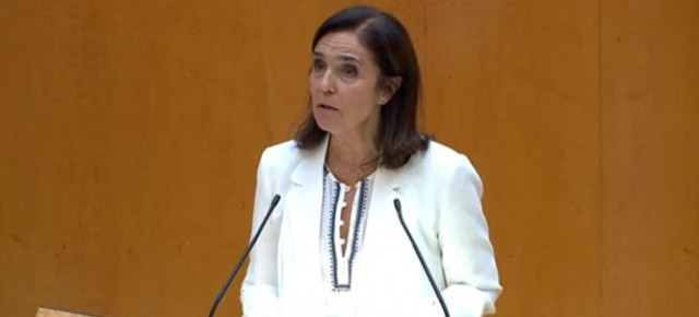 Pilar Rojo durante su intervención en el Senado