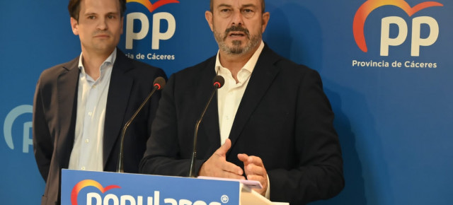 Pedro Rollán, vicesecretario de Coordinación Autonómica y Local del PP