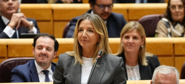 Alicía García en el Senado