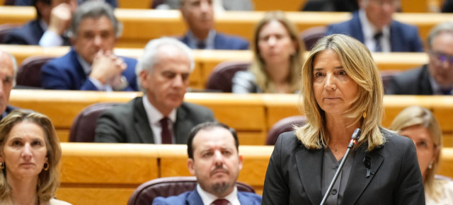 Alicia Garcia interviene en el Senado