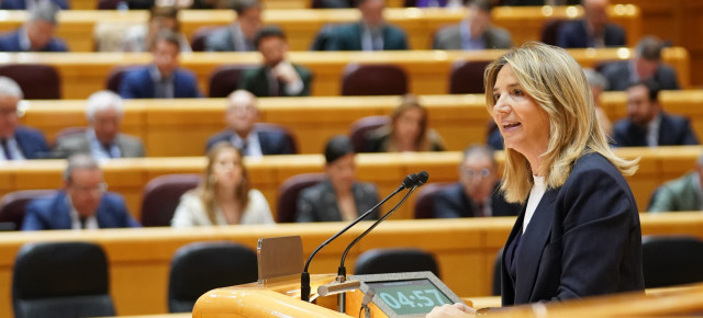 Alicia Garcia interviene en el Senado