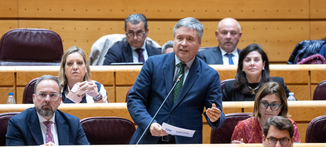 Luis Sanmaría interviene en el Senado