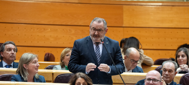 José Manuel Balseiro interviene en el Senado