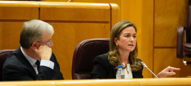 Pepa Pardo en el Senado