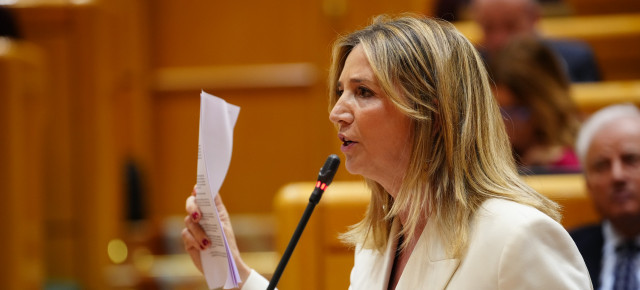 La portavoz del PP en el Senado, Alicia García