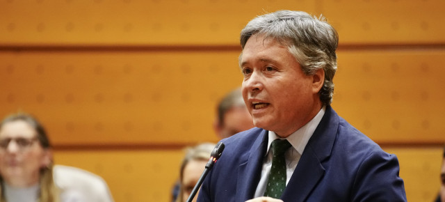 El senador del GPP, Luis Santamaría