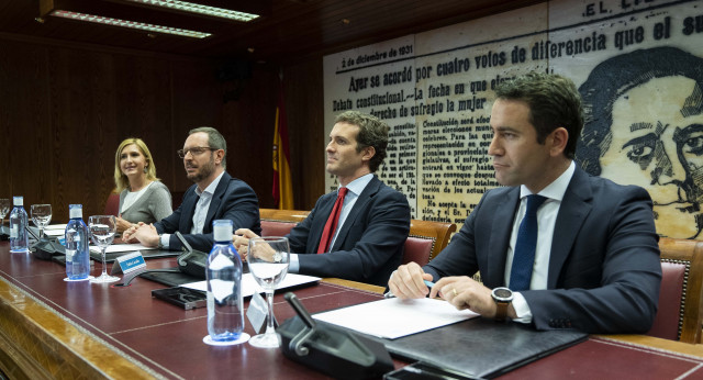 Reunión de Pablo Casado con el GPP en el Senado