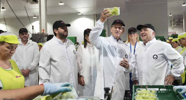 Alberto Núñez Feijóo visita los viñedos y la fabrica de uvas El Ciruelo.