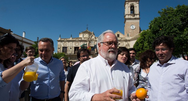 El candidato Miguel Arias Cañete durante su visita a Lora del Río, Sevilla