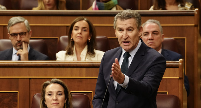 Feijóo en la sesión de control en el Congreso de los Diputados