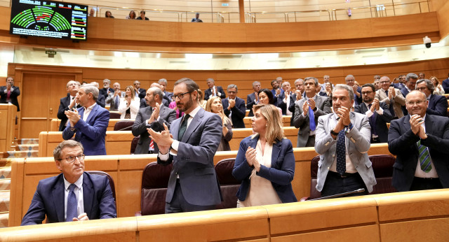 Alberto Núñez Feijóo en el pleno del Senado