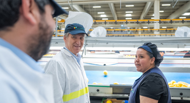 Feijóo y López Miras visitan la empresa García Aranda