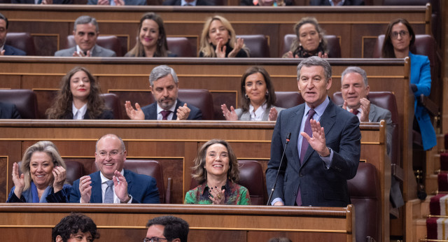 Alberto Núñez Feijóo en la sesión de control al gobierno celebrada hoy en el Congreso