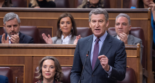 Alberto Núñez Feijóo en la sesión de control al gobierno celebrada hoy en el Congreso