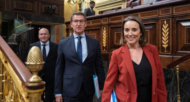 Alberto Núñez Feijóo en el Pleno del Congreso