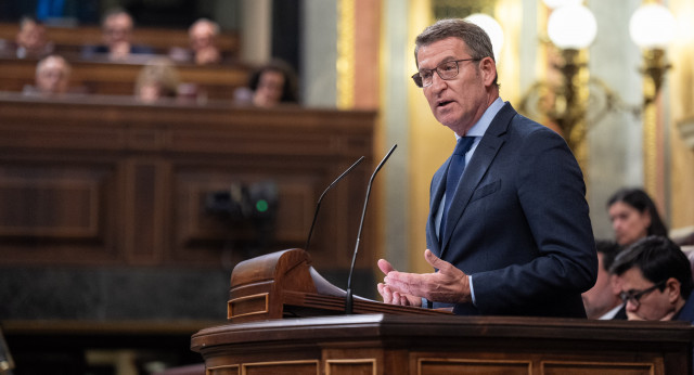 Alberto Núñez Feijóo en el Pleno del Congreso