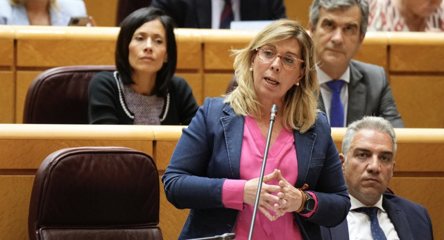 La secretaria general del Grupo Popular en el Senado y del Partido Popular de Navarra, Amelia Salanueva